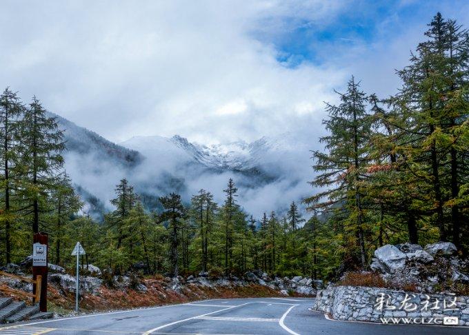 自动挡汽车图标有个桶中有个杆什么意思游戏画面